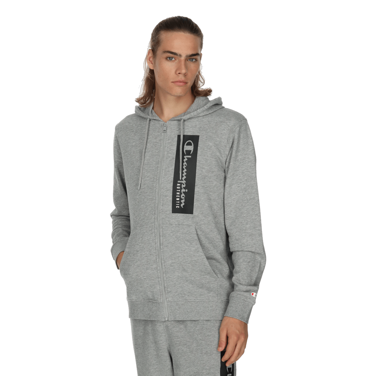 BIG LOGO FULL ZIP HOODY Big imagine noua