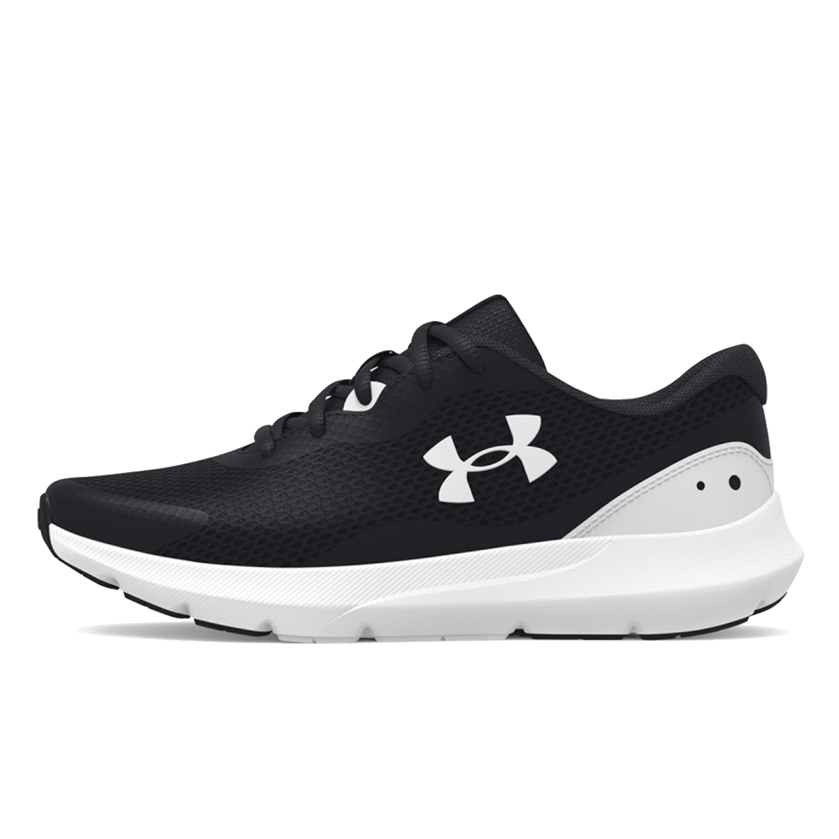 Ua bgs surge 3