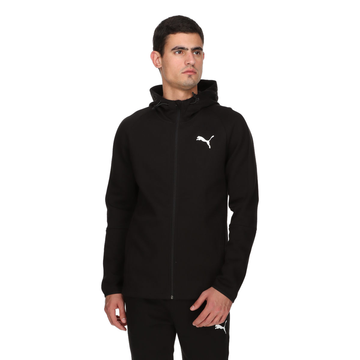 PUMA EVOSTRIPE Core FZ Hoodie