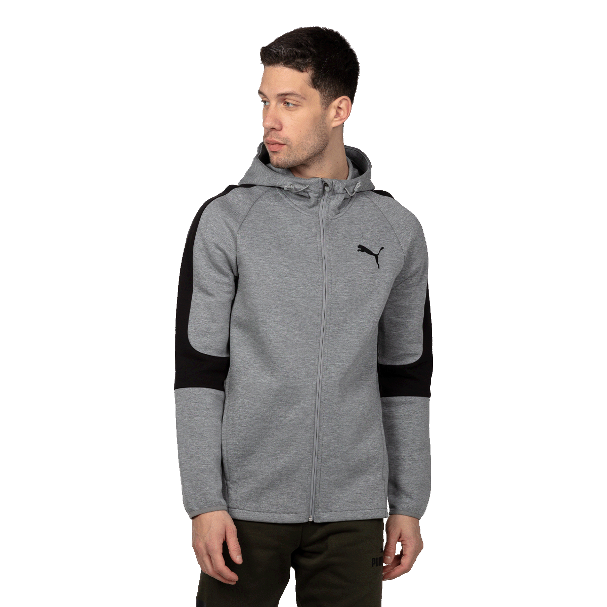PUMA EVOSTRIPE CORE FZ HOODIE Core imagine 2022