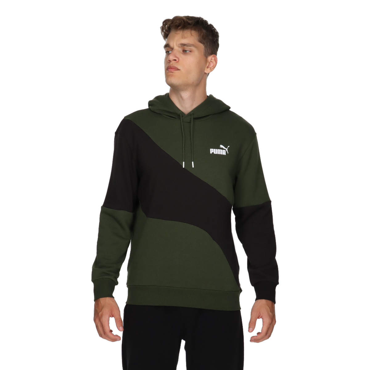 Puma power cat hoodie tr