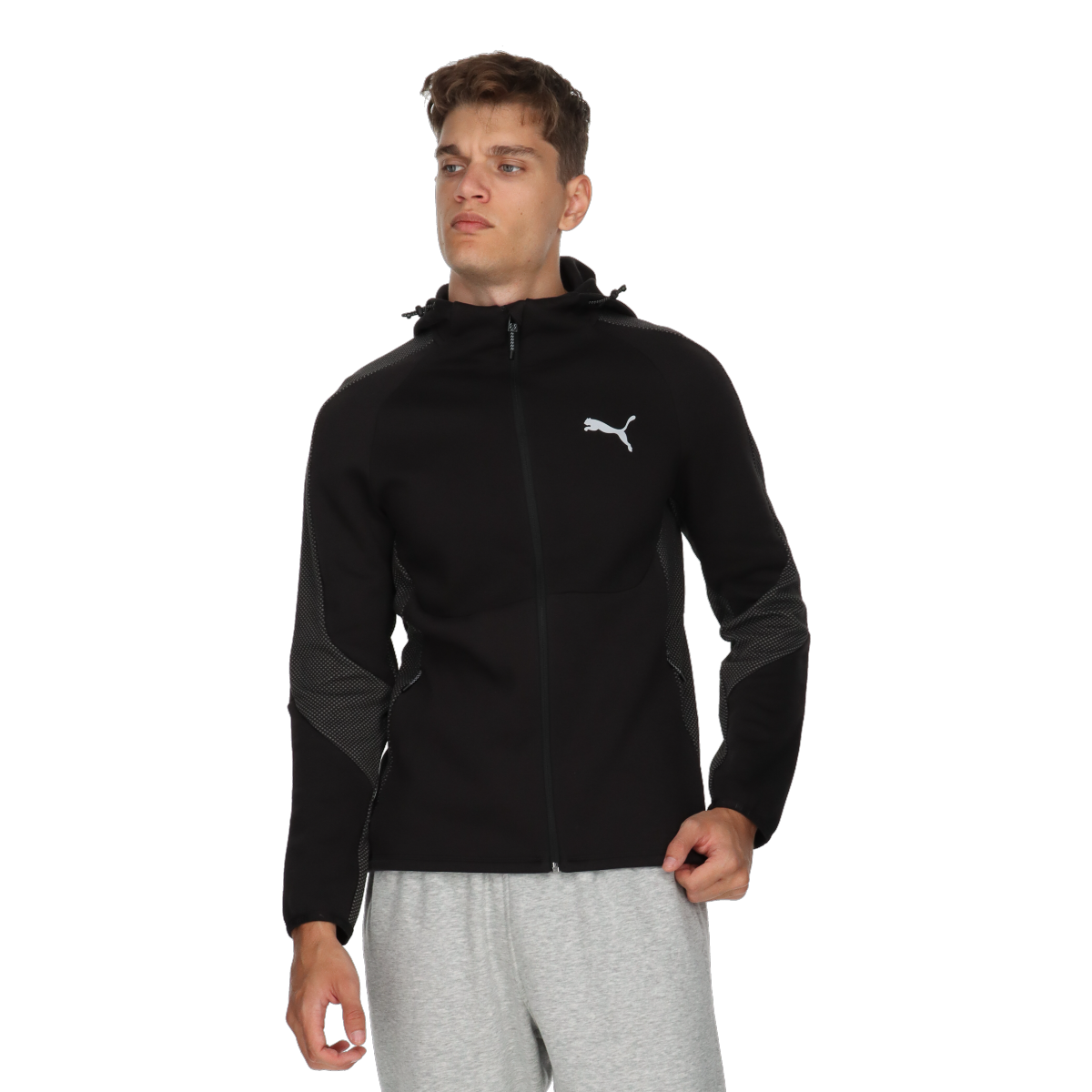 PUMA EVOSTRIPE Full-Zip Hoodie DK