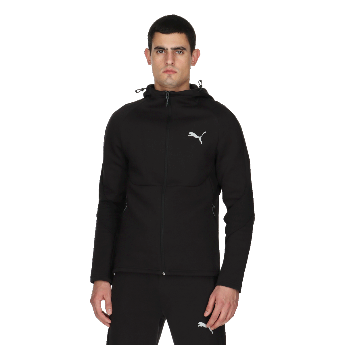 PUMA EVOSTRIPE Full-Zip Hoodie DK