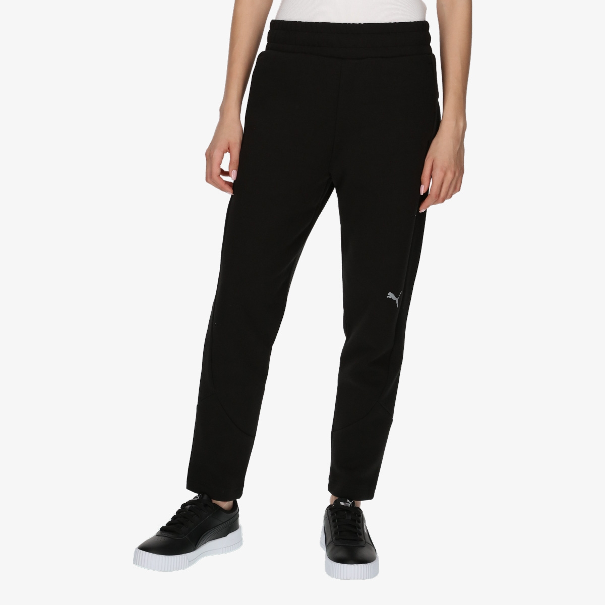 Puma evostripe store