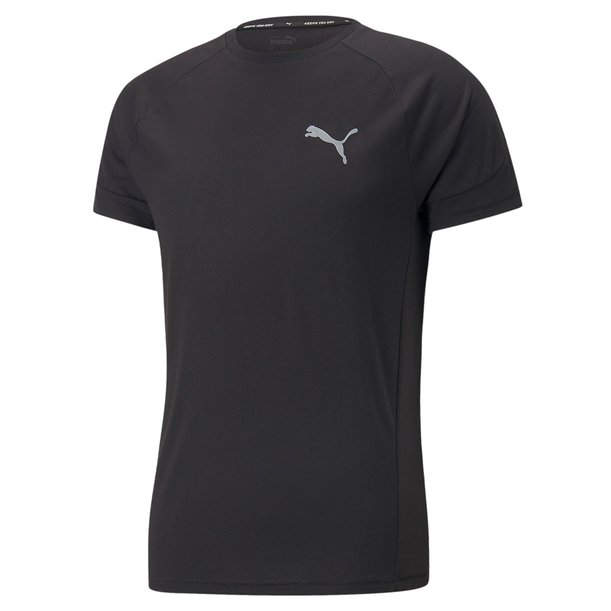 PUMA EVOSTRIPE TEE EVOSTRIPE imagine 2022