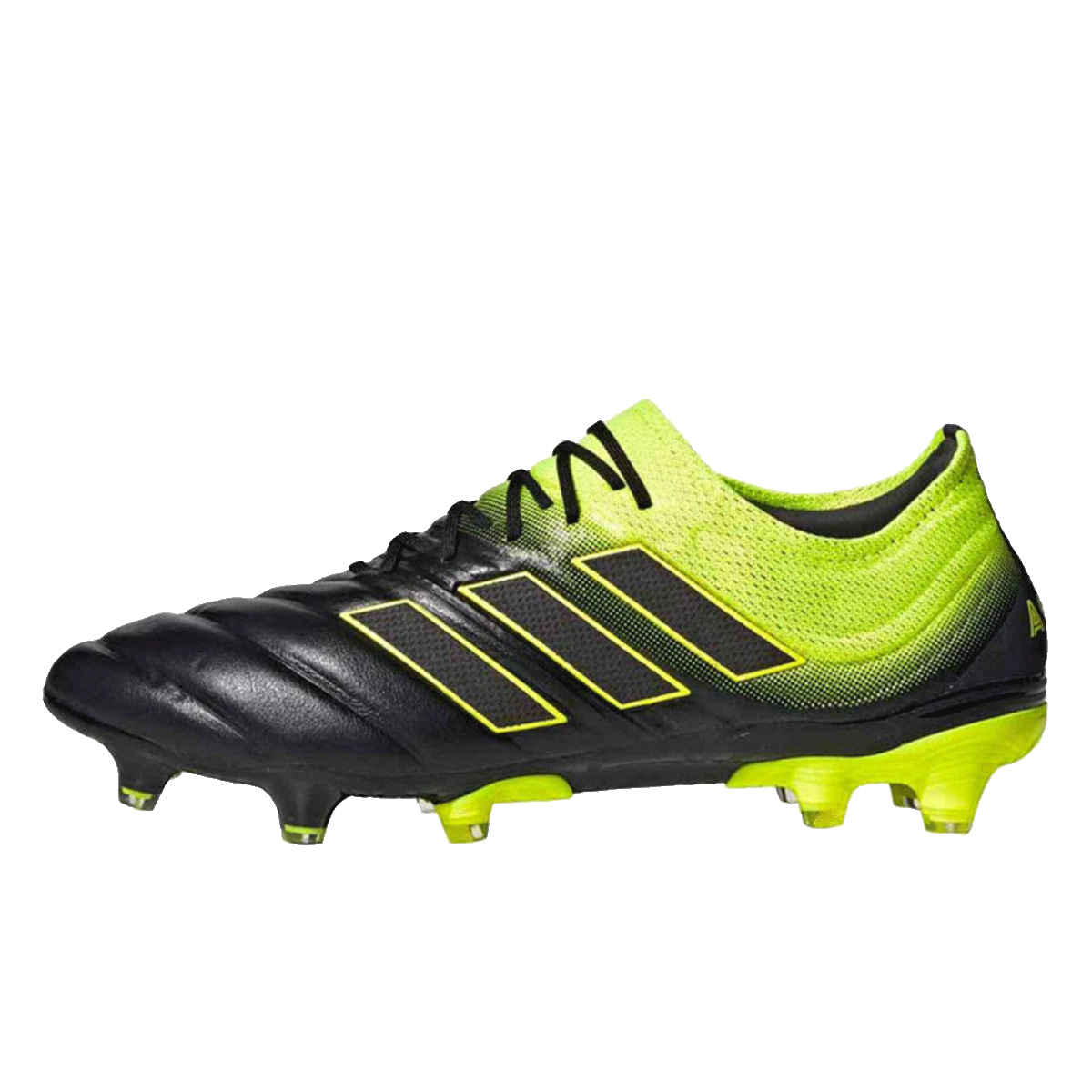 COPA 19.1 FG