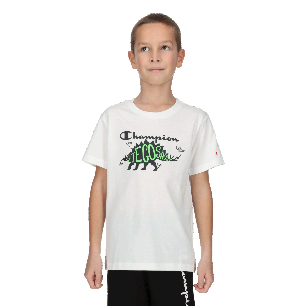 Boys dino t-shirt