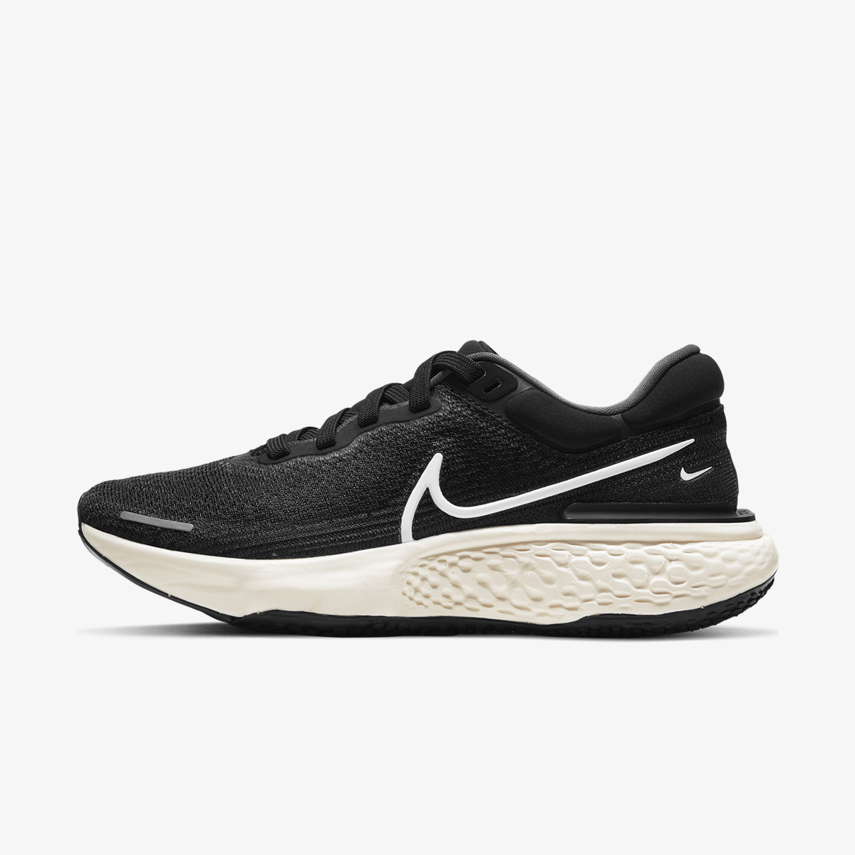 Pegasus zoom x on sale
