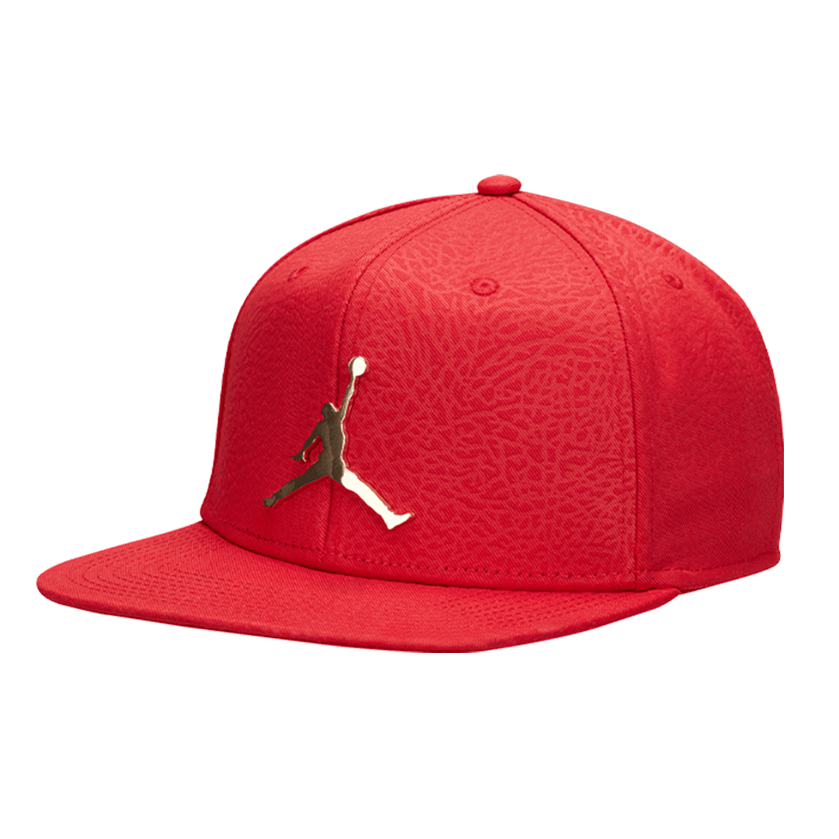 Jordan pro ele ingot cap