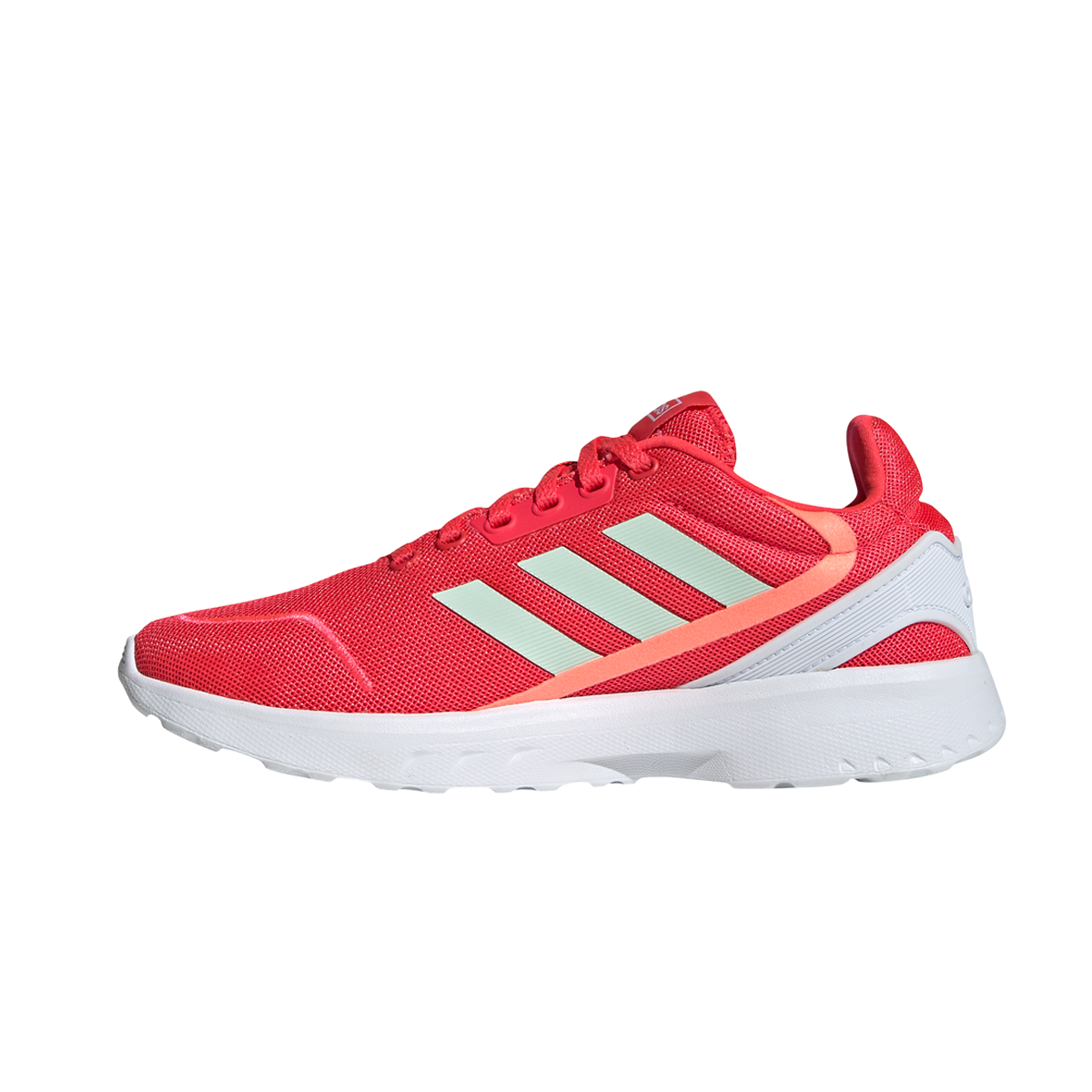 NEBULA ZED Adidas