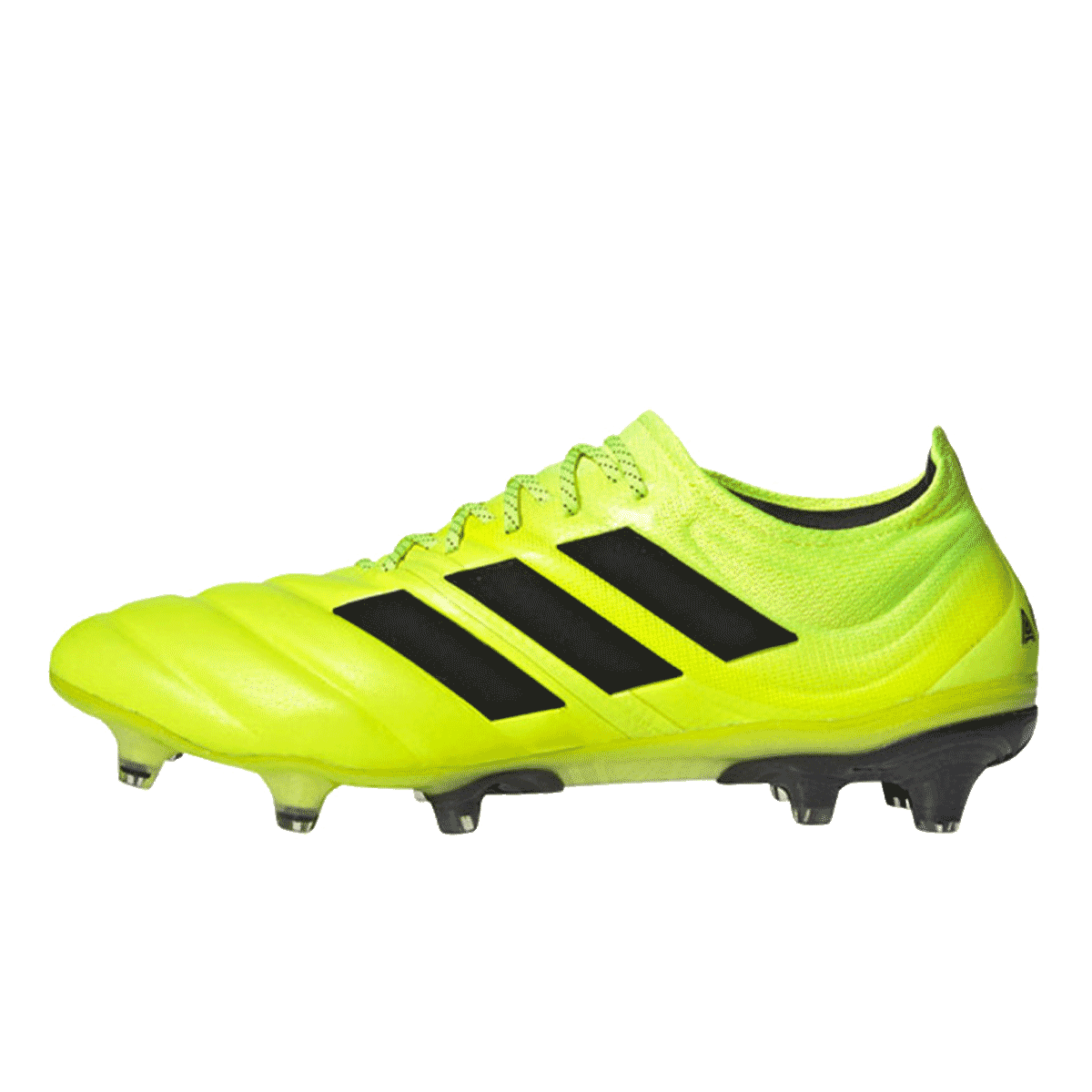 COPA 19.1 FG