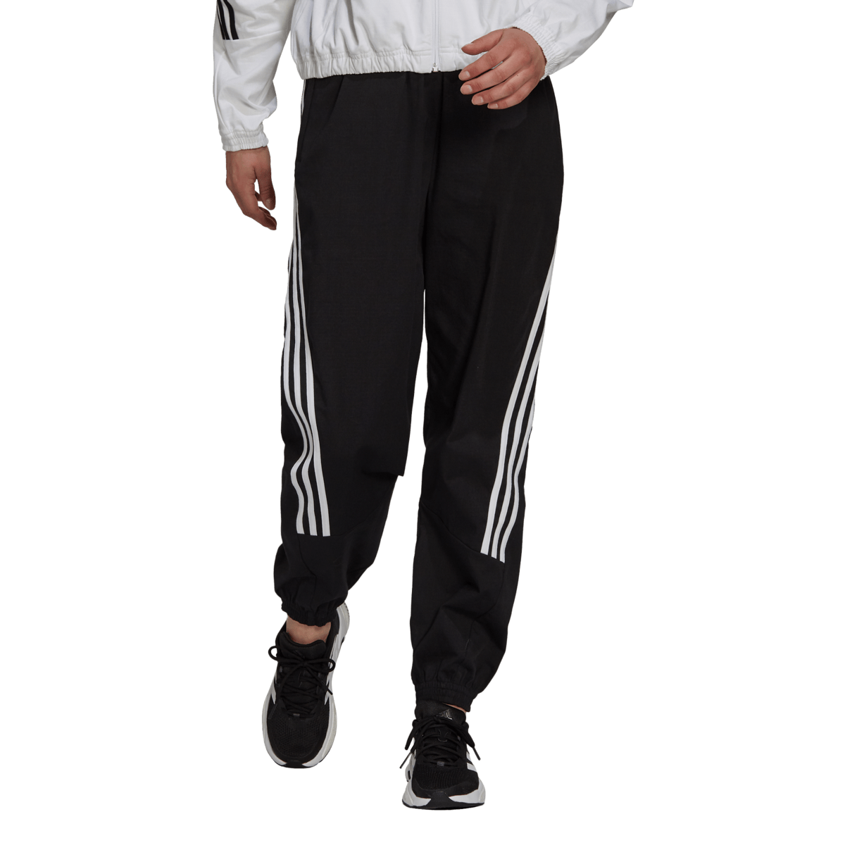 W fi wv pant