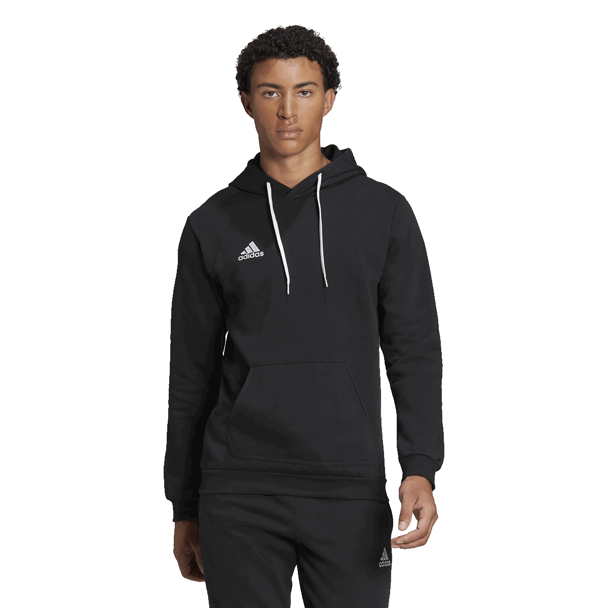 Ent22 hoody