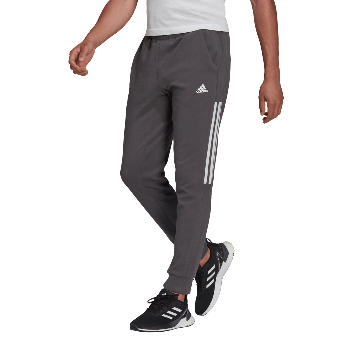 Motion pant