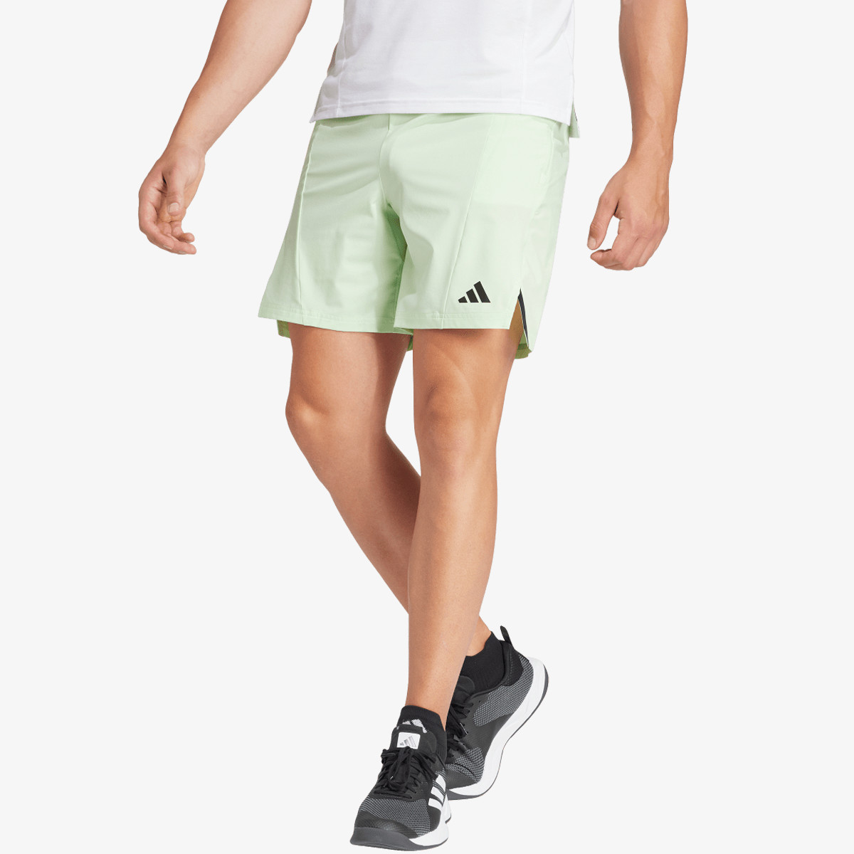 IS3822.jpg