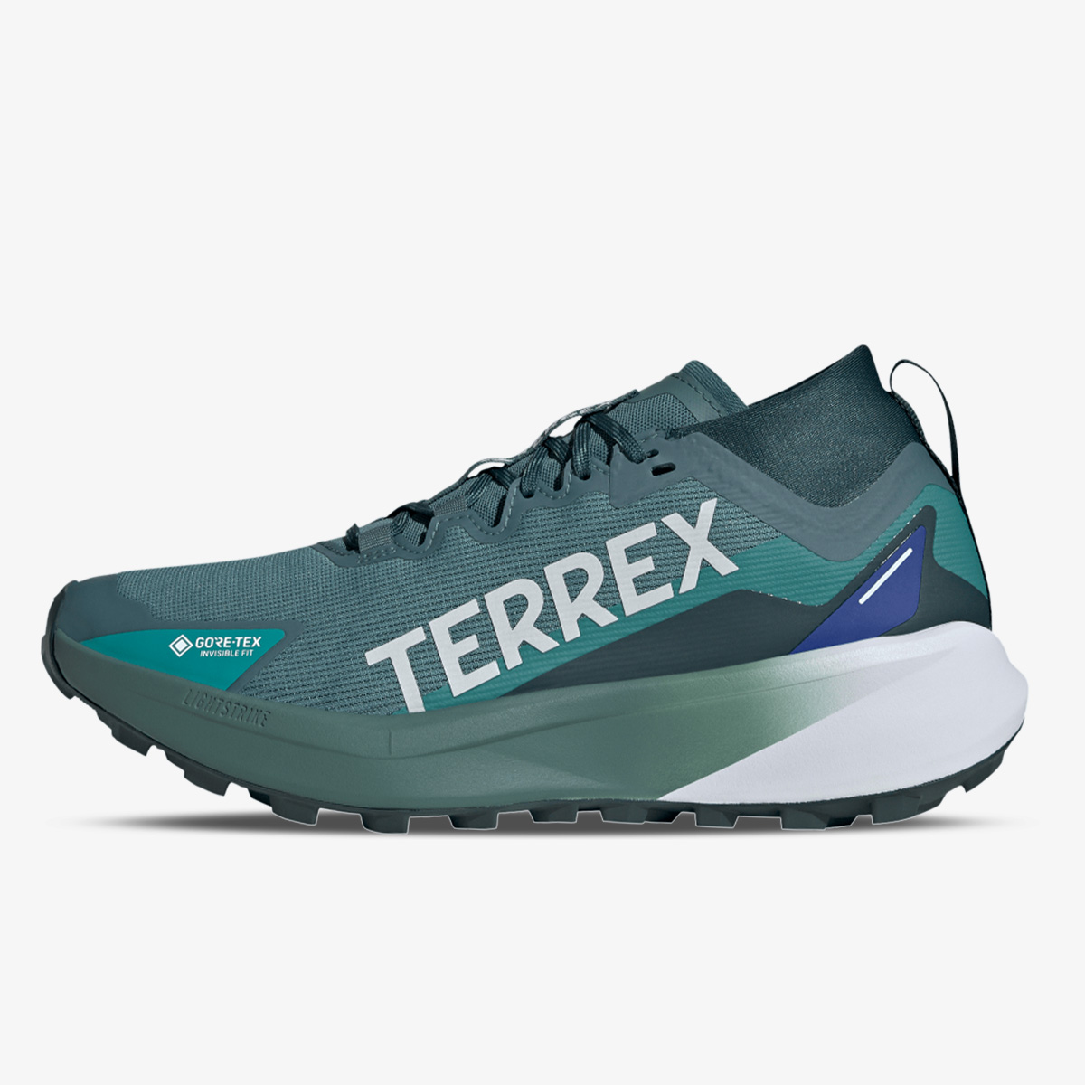adidas Pantofi Sport Terrex Agravic Gore-Tex | SportVision Romania