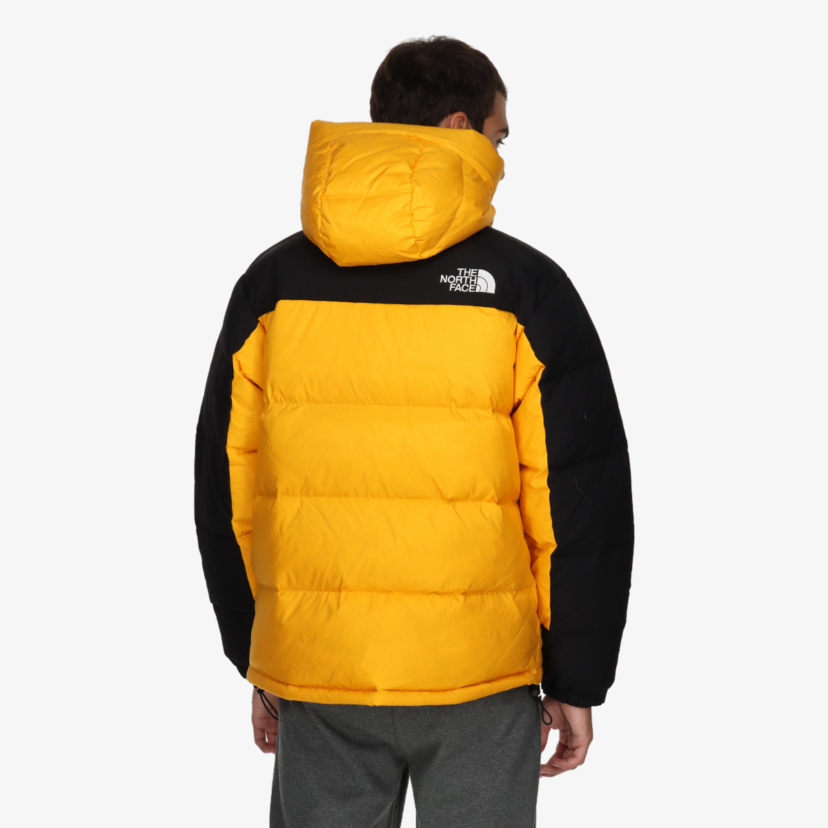 The North face Jacheta Men's Hmlyn Down Parka | SportVision Romania