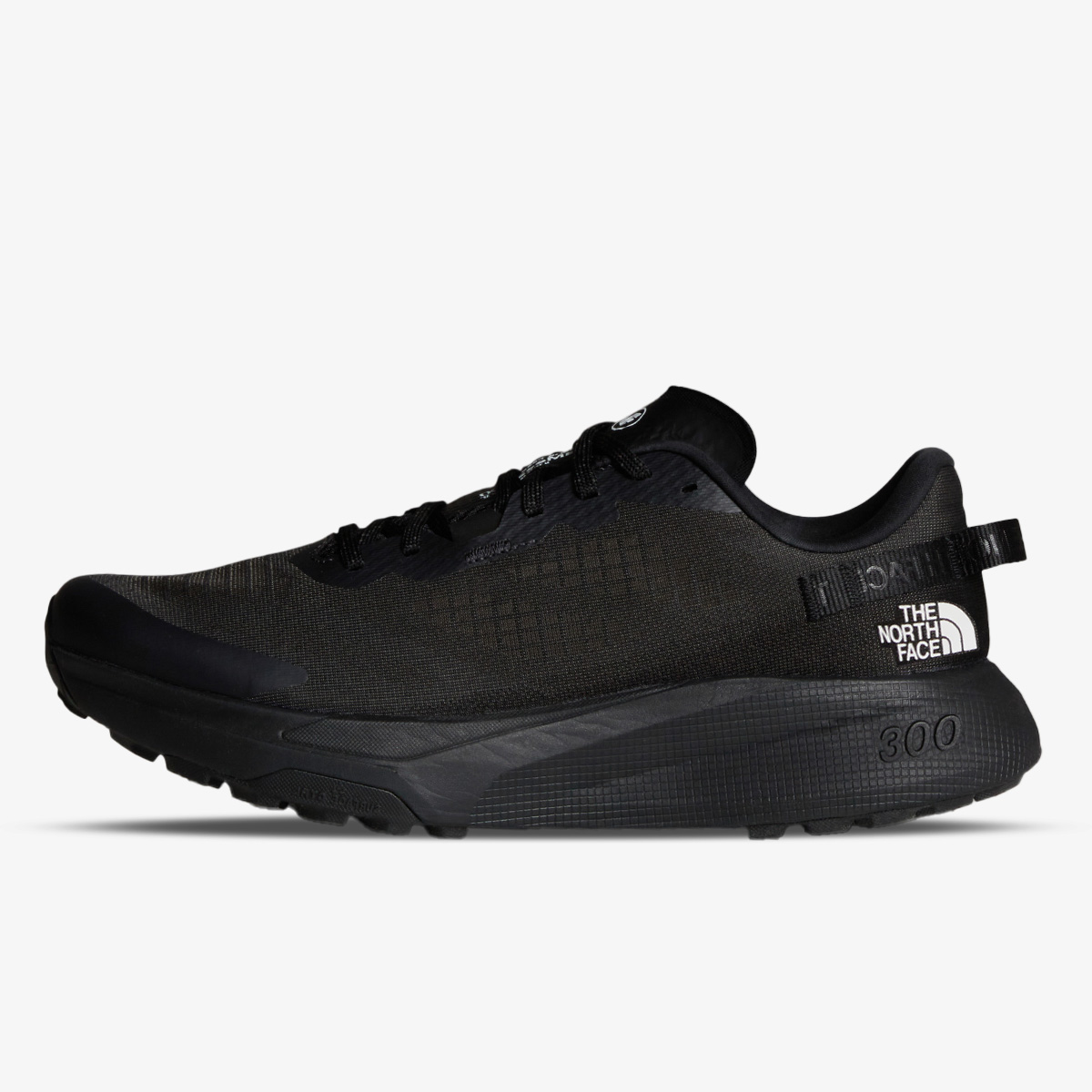 The North face Pantofi Sport Altamesa 300 | SportVision Romania
