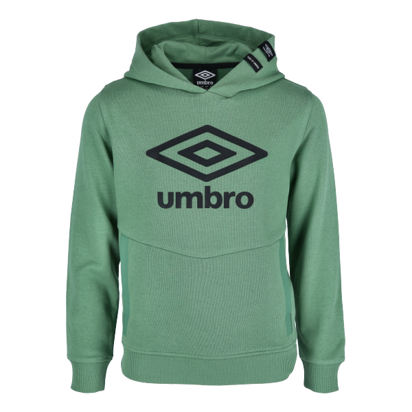 BASIC LOGO HOODIE JNR basic imagine 2022