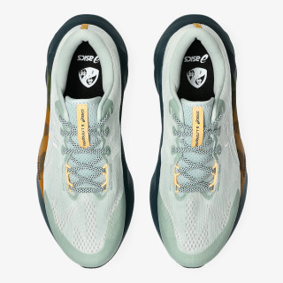 Asics Pantofi Sport Novablast™ 5 TR 