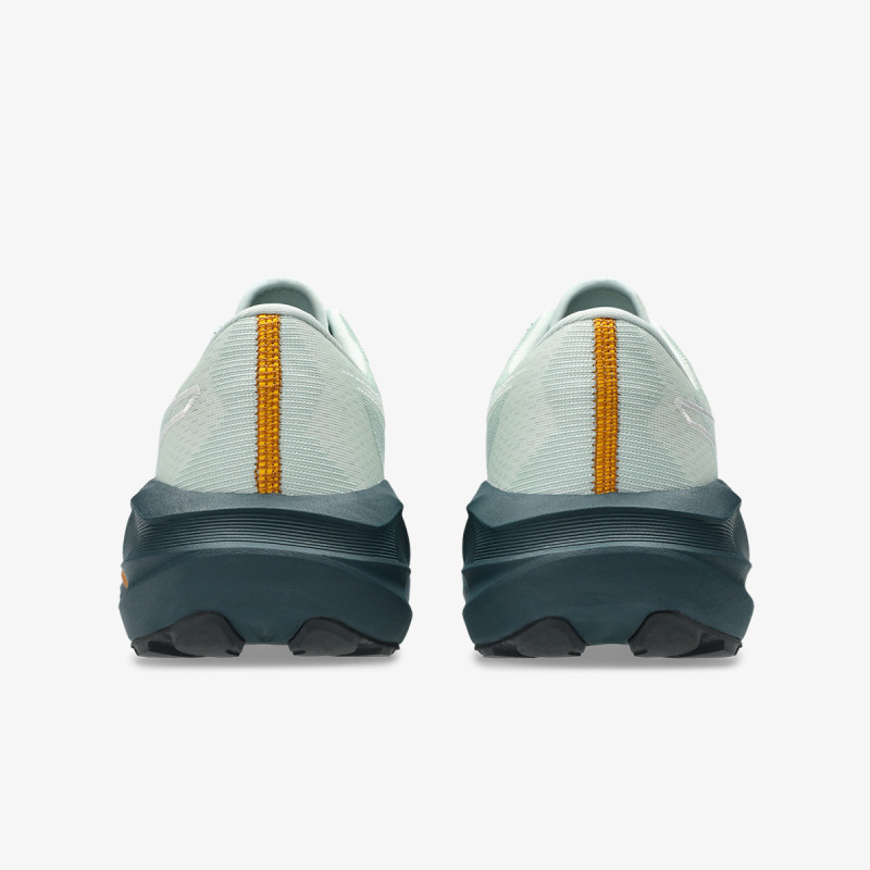 Asics Pantofi Sport Novablast™ 5 TR 