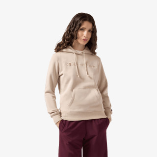 Champion Hanorac Hooded Sweatshirt 