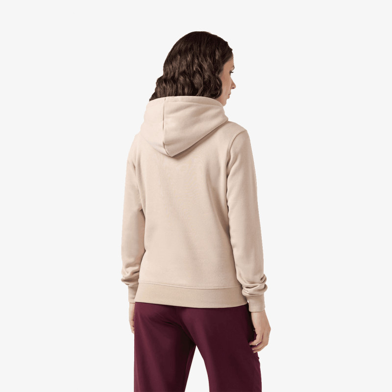 Champion Hanorac Hooded Sweatshirt 