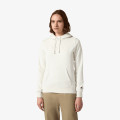 Champion Hanorac Hooded Sweatshirt 