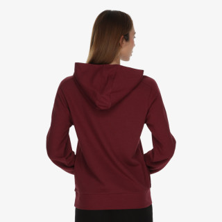 Champion Hanorac Hooded Sweatshirt 