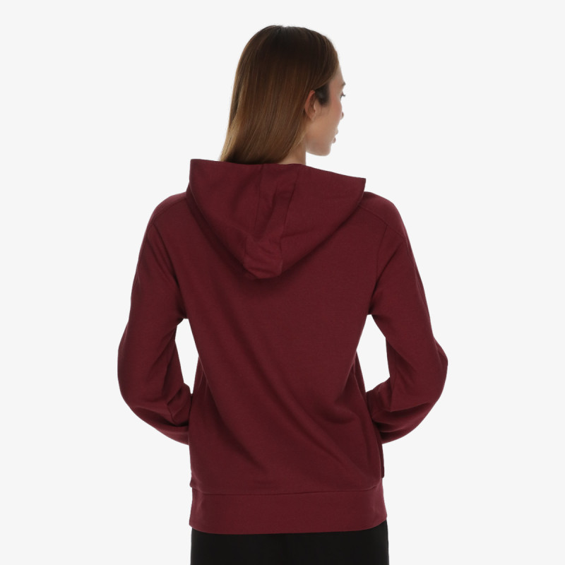 Champion Hanorac Hooded Sweatshirt 
