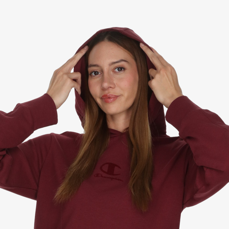 Champion Hanorac Hooded Sweatshirt 