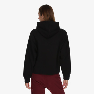 Champion Hanorac Hooded Sweatshirt 