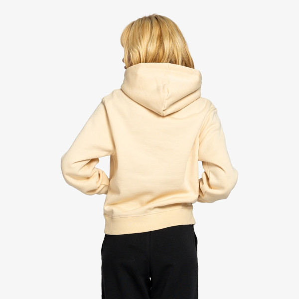Champion Hanorac Hooded Sweatshirt 