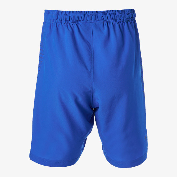 Under Armour Pantaloni scurti WOVEN GRAPHIC SHORTS 