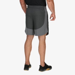 Under Armour Pantaloni scurti Performance 