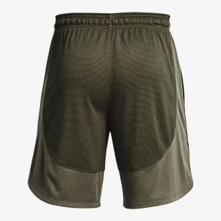 Under Armour Pantaloni scurti Performance 