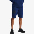 Under Armour Pantaloni scurti RIVAL TERRY COLLEGIATE 