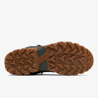 Columbia Pantofi Newton Ridge™ Plus II 