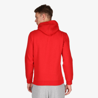 Champion Hanorac HOODED 
