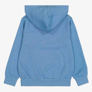 Champion Hanorac Hoodded Sweatshirt 