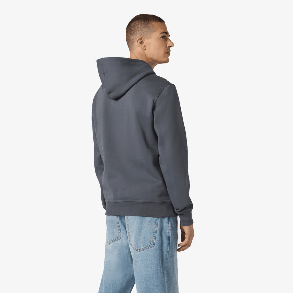 Champion Hanorac Hooded Sweatshirt 