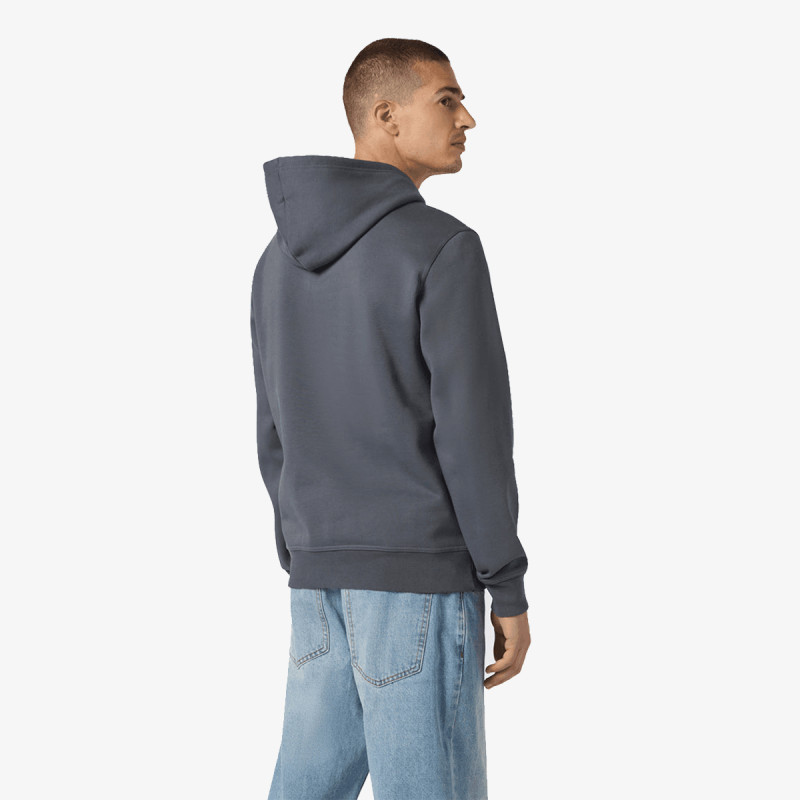 Champion Hanorac Hooded Sweatshirt 