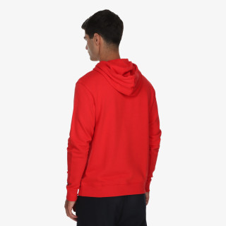 Champion Hanorac Hooded Sweatshirt 