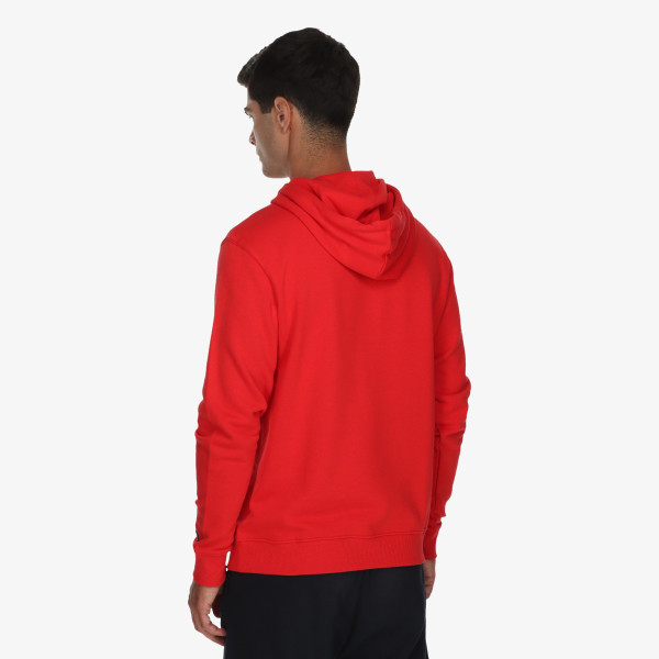 Champion Hanorac Hooded Sweatshirt 