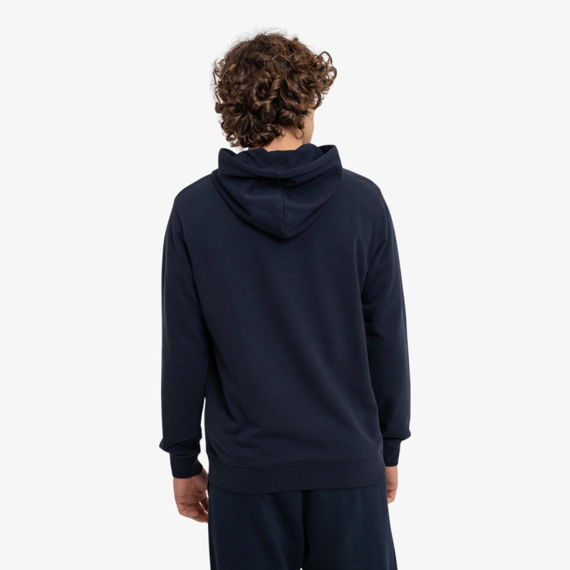 Champion Hanorac Hooded Sweatshirt 
