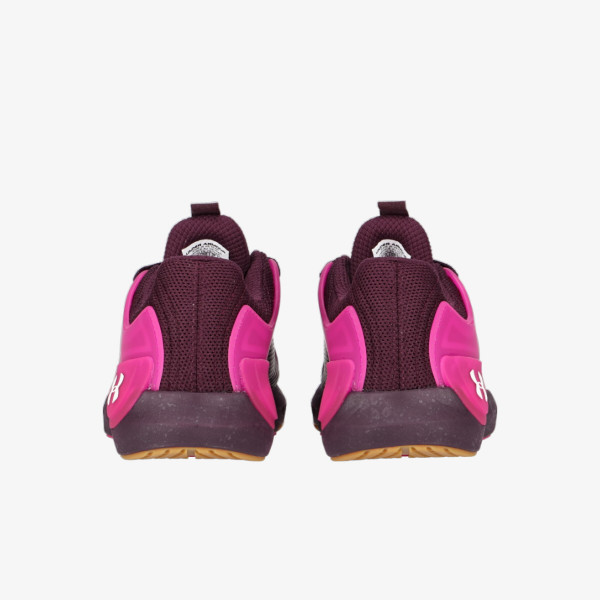 Under Armour Pantofi Sport Under Armour Women's UA HOVR™ Apex 2 Training Shoes