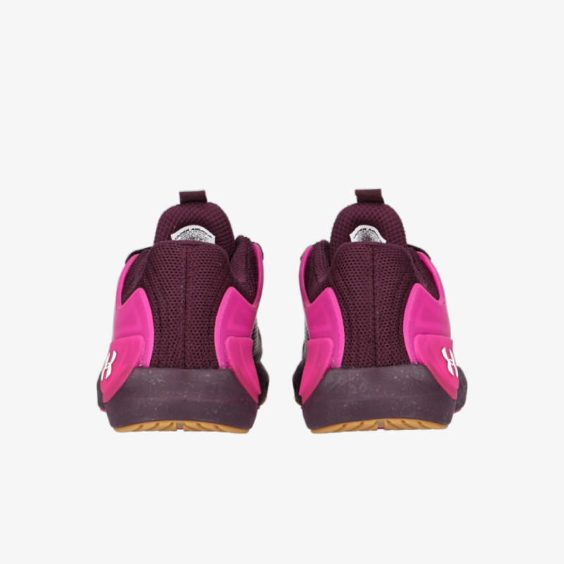 Under Armour Pantofi Sport Under Armour Women's UA HOVR™ Apex 2 Training Shoes