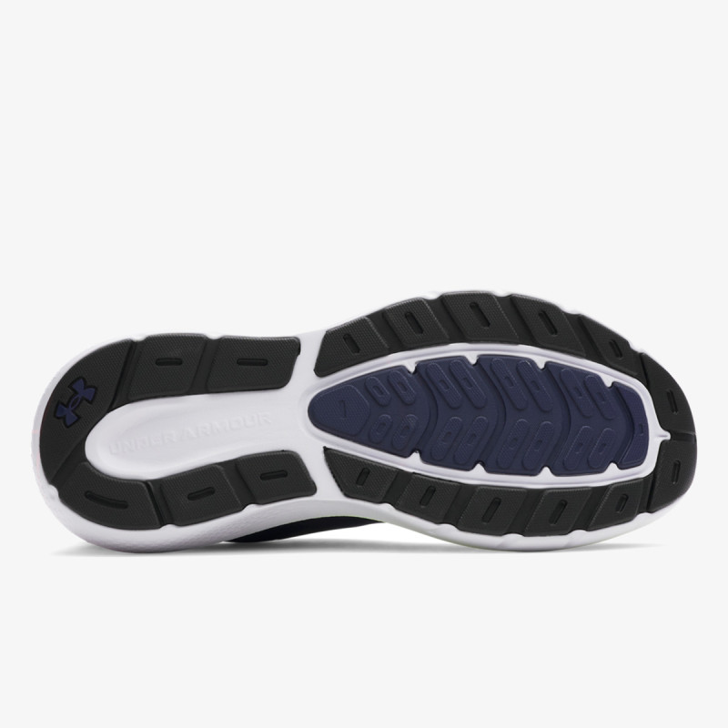Under Armour Pantofi Sport UA Charged Rogue 5 