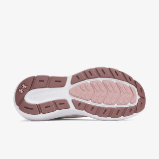 Under Armour Pantofi Sport UA W Charged Rogue 5 
