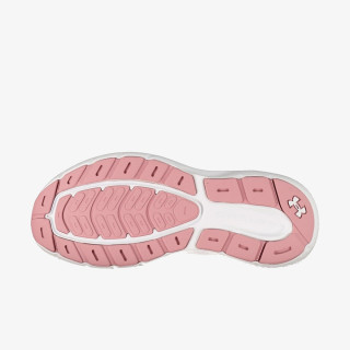 Under Armour Pantofi Sport UA W Charged Rogue 5 